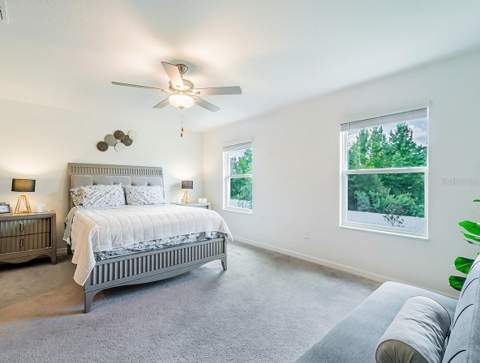 21372 Darter Road, Land O Lakes FL - photo 24 of 38