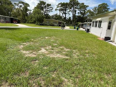 7476 Dearborn Avenue, Brooksville FL - photo 21 of 33