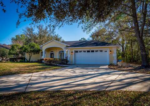 814 Brantenburg Way, home for sale in Lutz 33548