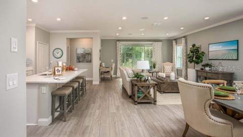 17657 NW 169th Place, Alachua FL - photo 6 of 23