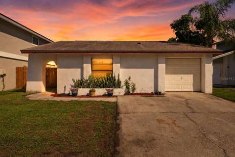 10311 Chadbourne Drive, home for sale in Tampa 33624