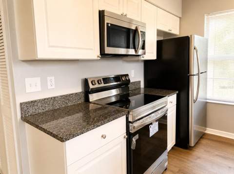 3226 Fox Squirrel Drive, Kissimmee FL - photo 6 of 17