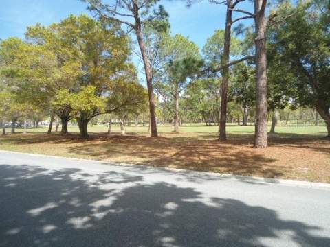 2800 Cove Cay Drive #4D, Clearwater FL - photo 23 of 24
