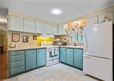 309 Sheerwood Drive, Lady Lake FL - photo 19 of 33