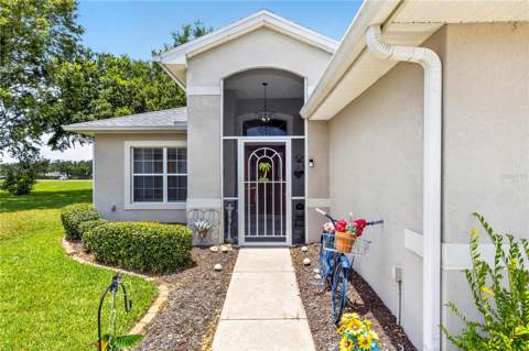 3393 Baltic Sea Boulevard, Tavares FL - photo 6 of 6