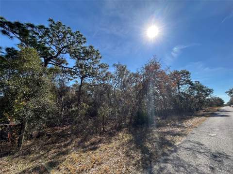 9940 Black Bear Lane, Winter Garden FL - photo 6 of 6