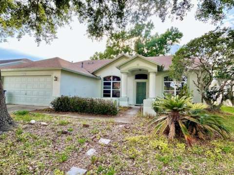 1135 Big Sky Drive, home for sale in Wesley Chapel 33543