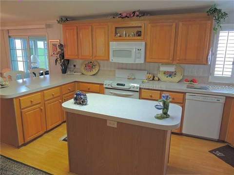 37535 New Horizons Boulevard, Zephyrhills FL - photo 9 of 25