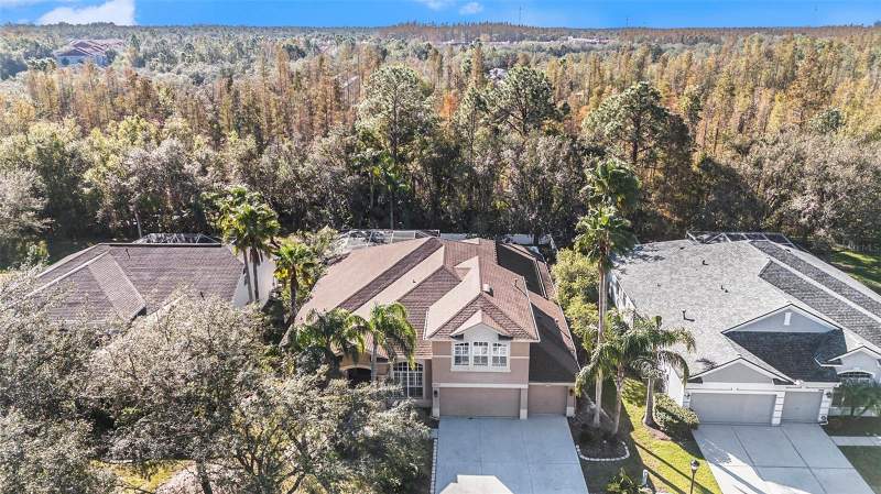5 bedroom Single Family Residence at 8507 Portage Avenue, Richmond Place Ph 1, Tampa — photo 5
