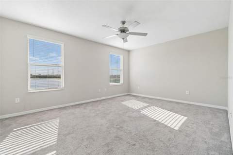 4410 Summer Savory Street, Tampa FL - photo 21 of 64