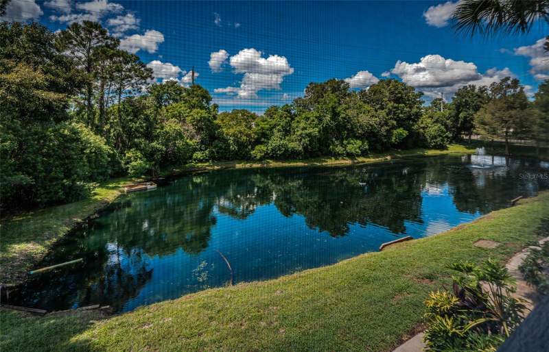 2 bedroom Condominium at 2138 Chianti Place #142, Tuscany At Innisbrook Condo, Palm Harbor — photo 5