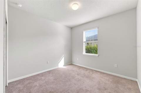 18359 Cortes Creek Boulevard, Spring Hill FL - photo 19 of 59