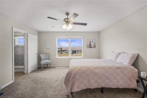 11240 Cay Spruce Way, San Antonio FL - photo 17 of 66