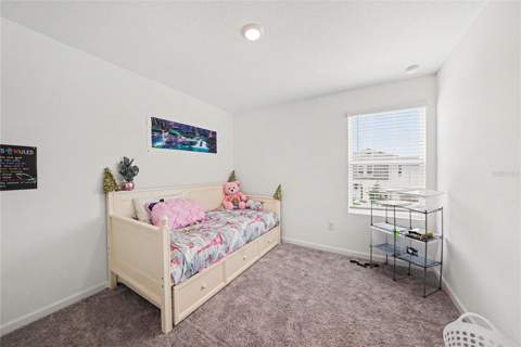 6272 Bucket Court, Gibsonton FL - photo 19 of 30