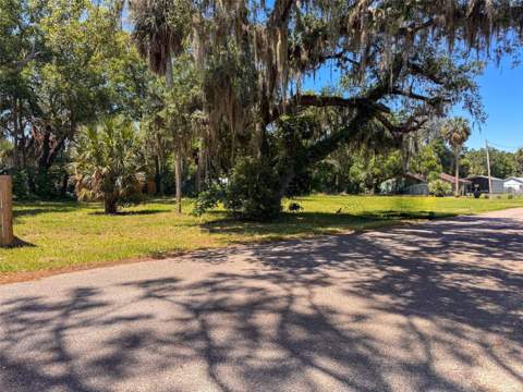 16200 Lenord Street, Umatilla FL - photo 18 of 20