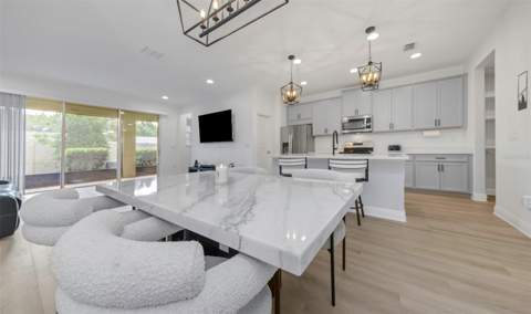 14203 Damselfly Drive, Tampa FL - photo 9 of 68