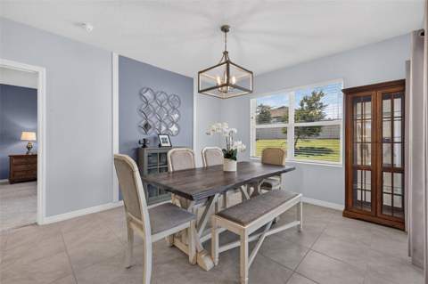 5264 Greenheart Avenue, Mount Dora FL - photo 15 of 34