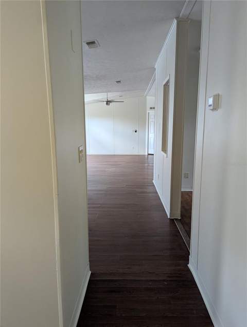 30517 Clearview Drive, Wesley Chapel FL - photo 23 of 40