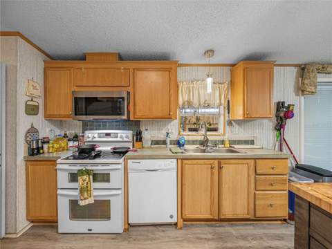 11404 Lithia Pinecrest Road, Lithia FL - photo 19 of 63