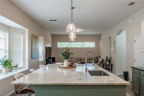 4642 River Gem Avenue, Windermere FL - photo 10 of 53