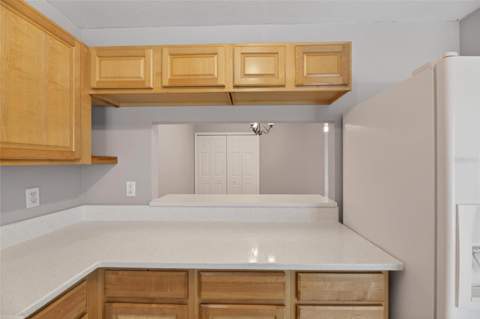 2258 Fluorshire Drive, Brandon FL - photo 20 of 48