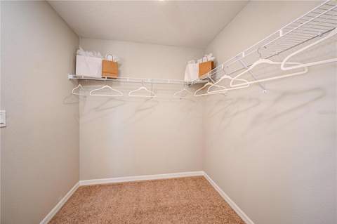 31714 Oyster Trellis Lane, Wesley Chapel FL - photo 7 of 24