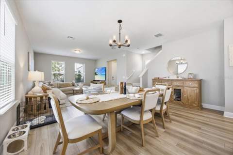 12308 Bracco Street, Winter Garden FL - photo 8 of 35