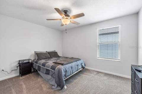 3703 Globe Thistle Drive, Tampa FL - photo 23 of 37