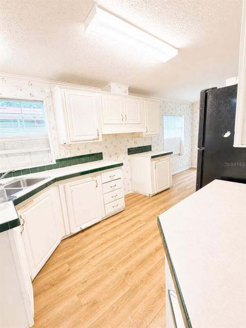 36910 Sunshine Road, Zephyrhills FL - photo 8 of 21