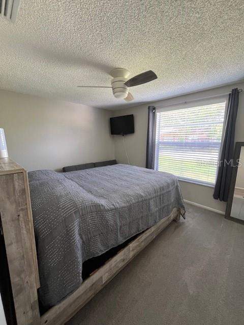 9104 Crabtree Lane, Port Richey FL - photo 21 of 27