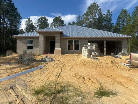 23262 Neptune Boulevard, Dunnellon FL - photo 10 of 12