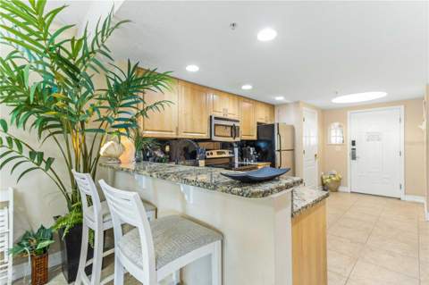 11605 Gulf Boulevard #503, Treasure Island FL - photo 17 of 60