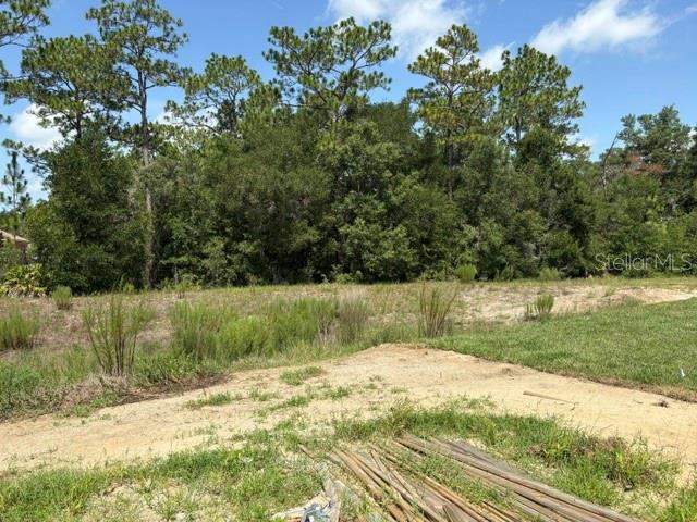 4 bedroom Single Family Residence at 7722 SW 180th Circle, Juliette Falls, Dunnellon — photo 5
