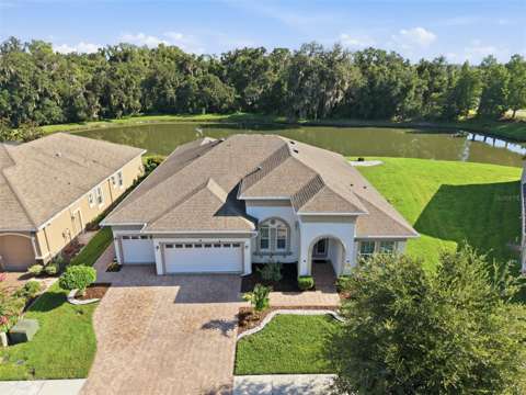 7121 Hatpin Loop, waterfront for sale in Wesley Chapel