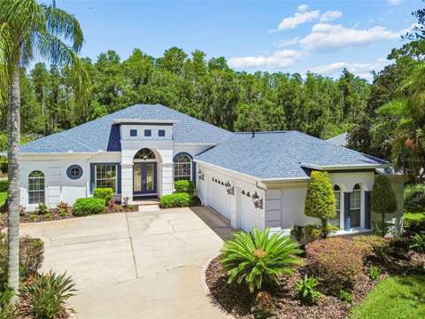 21105 Lake Vienna Drive, gated community for sale in Land O' Lakes