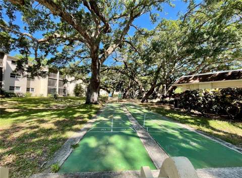 840 Virginia Street #303, Dunedin FL - photo 23 of 25