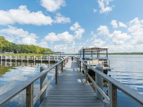 3253 McMath Drive, Palm Harbor FL - photo 6 of 6
