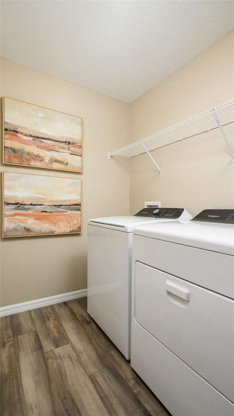 31670 Oyster Trellis Lane, Wesley Chapel FL - photo 18 of 20
