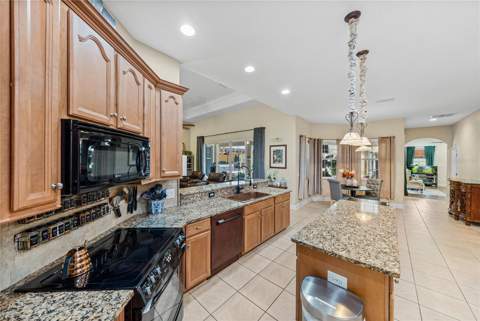 15131 Bellamy Brothers Boulevard, Dade City FL - photo 24 of 96