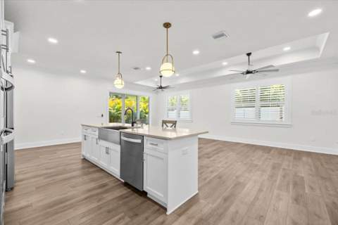201 Larocca Court, Palm Harbor FL - photo 12 of 49