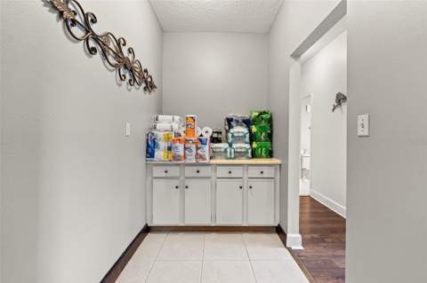 32137 Wolf Branch Lane, Sorrento FL - photo 24 of 85
