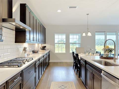 13150 Wellspring Drive, Lithia FL - photo 8 of 36