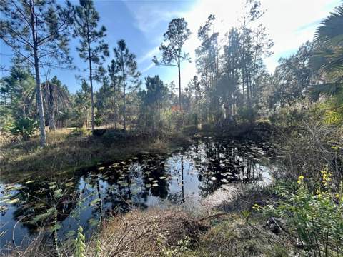 12714 State Road 33, Groveland FL - photo 7 of 22