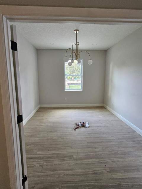 13105 N Boulevard, Tampa FL - photo 14 of 17