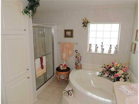 37535 New Horizons Boulevard, Zephyrhills FL - photo 15 of 25