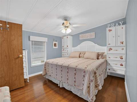 36419 Bonney Drive, Zephyrhills FL - photo 18 of 34