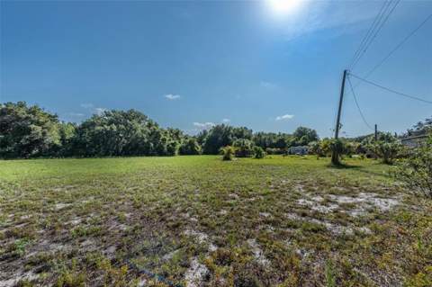 12154 Bullfrog Creek Road, Gibsonton FL - photo 9 of 23