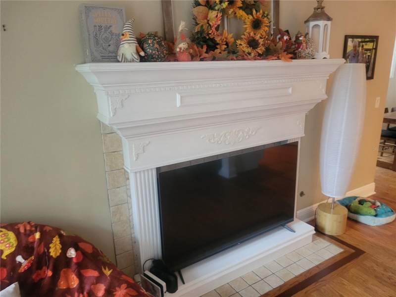 3 bedroom Single Family Residence at 206 Fearon Avenue, Mount Dora Rileys, Mount Dora — photo 4