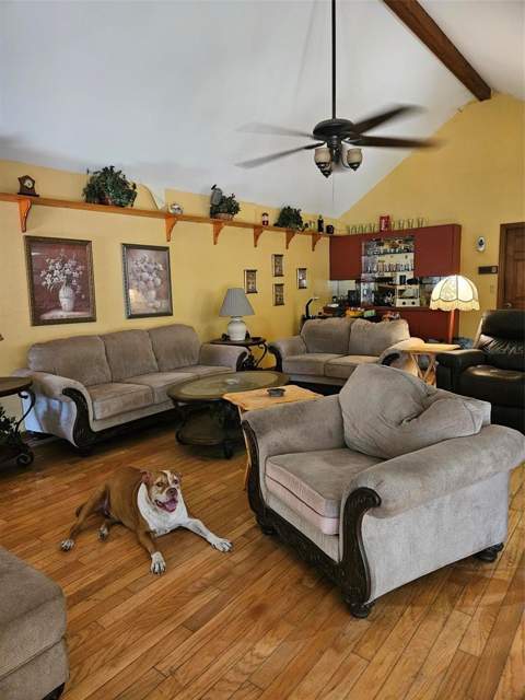22335 Southshore Drive, Land O Lakes FL - photo 6 of 6