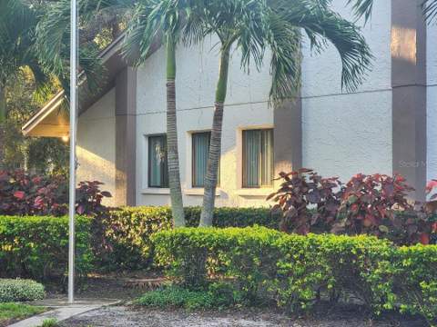603 Baldwin Avenue #B, Safety Harbor FL - photo 22 of 32